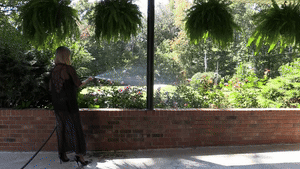 super-becca.com - 2021-noseyneighbor1-337_ thumbnail